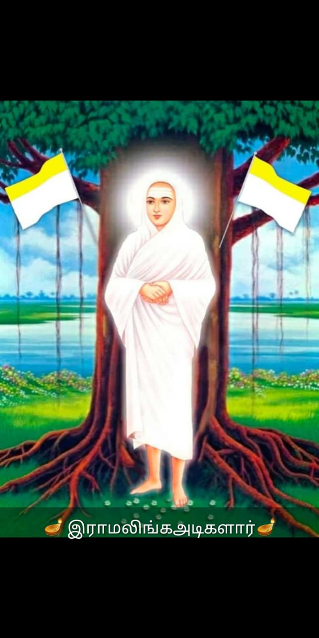Vallalar Annadhanam Foundation activities